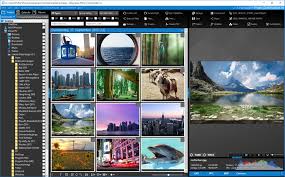 Ashampoo Photo Commander 16.3.3 Crack